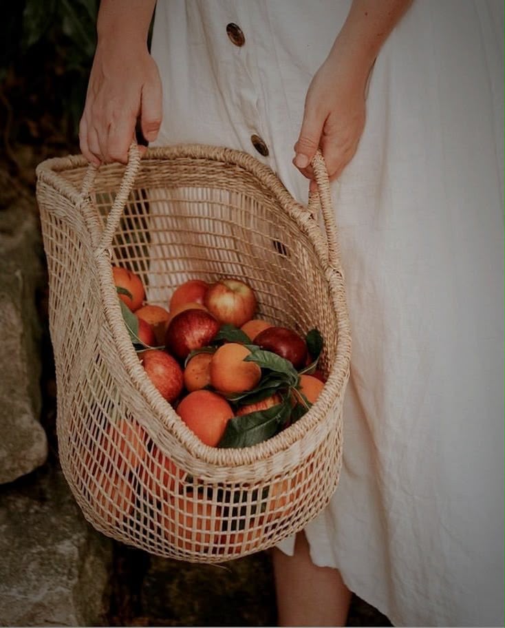 Panier tressé de pêches et abricots