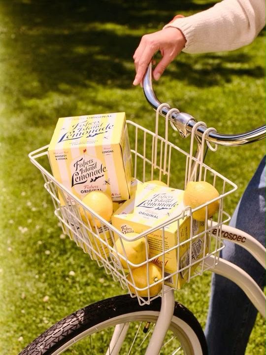 Citrons et agrumes dans un panier de vélo