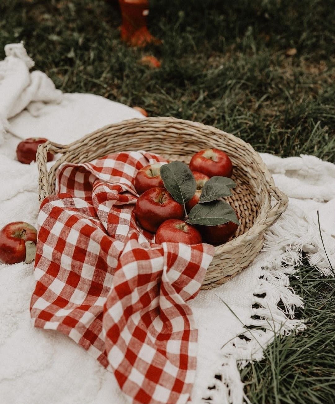 Panier de pommes rouges sur linge vichy
